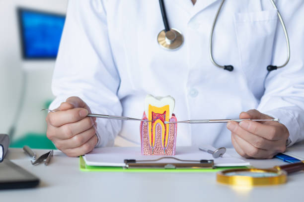 Best Emergency Root Canal Treatment in California, PA